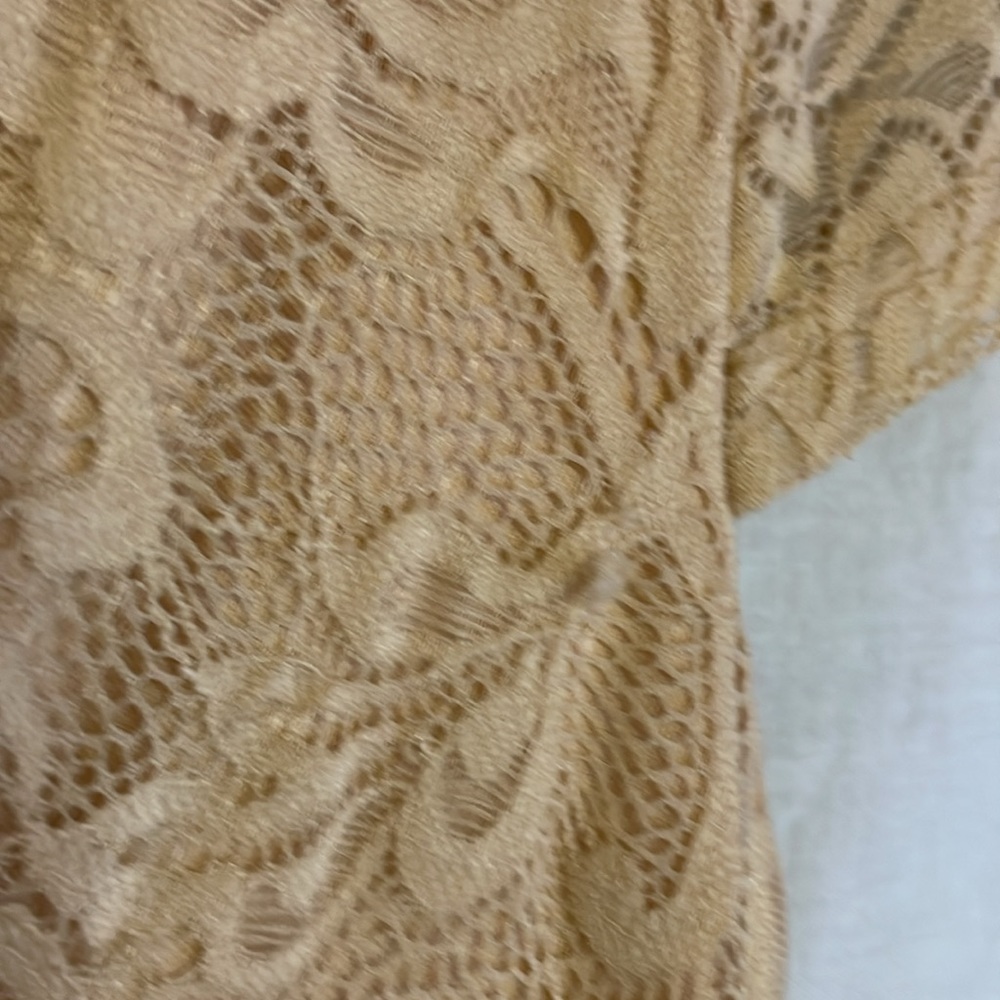Berry Love Lace Dress - Picture 2 of 8